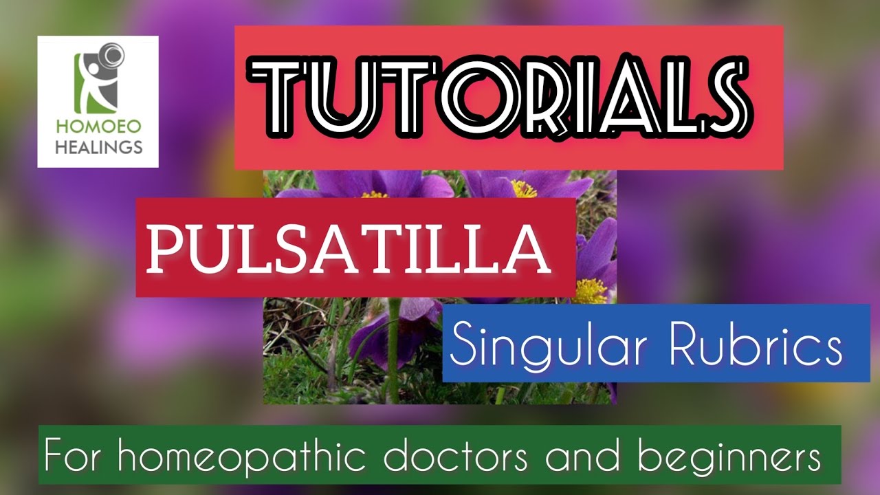 | TUTORIALS | SINGULAR RUBRICS OF PULSATILLA | DR NEELAM AVTAR SINGH | HINDI | Video 90