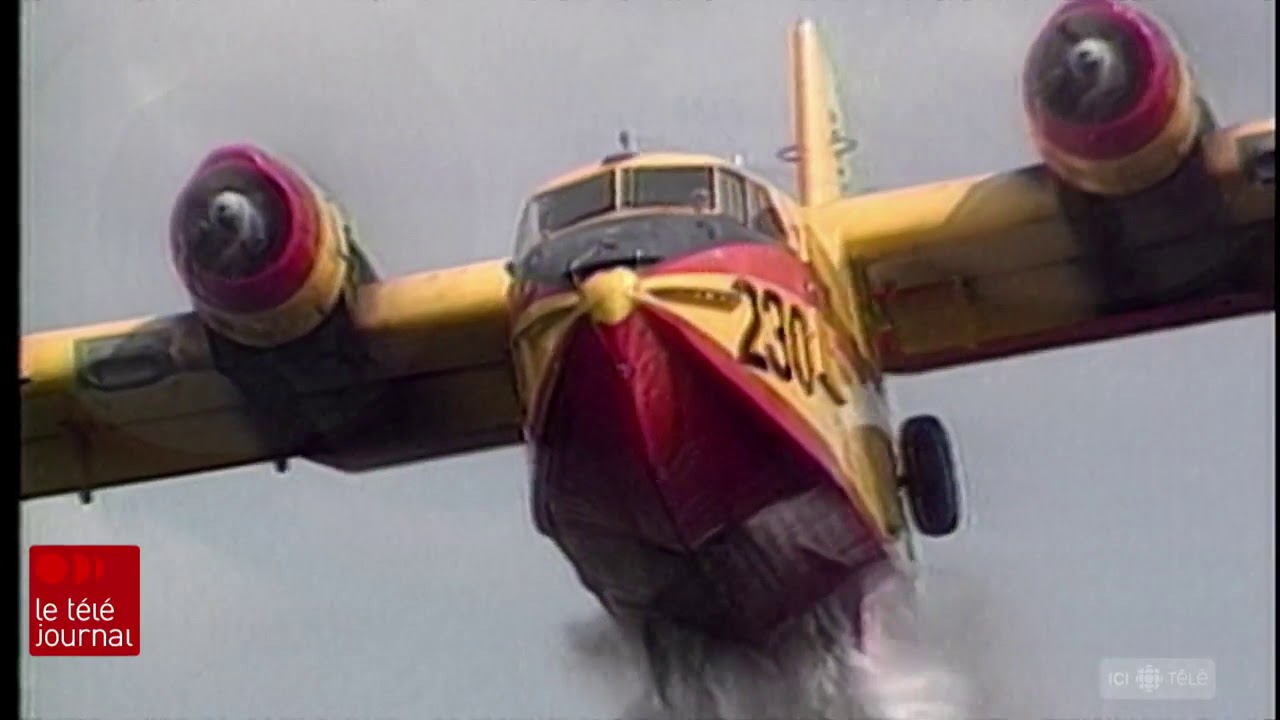 Le Twin Otter : une légende ressuscitée