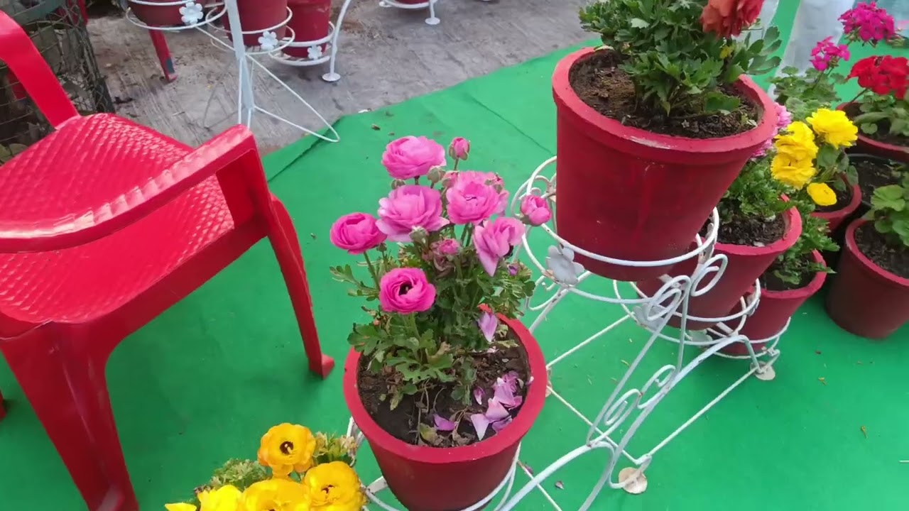2026 kota flower show 🌺🌺 lnd part 