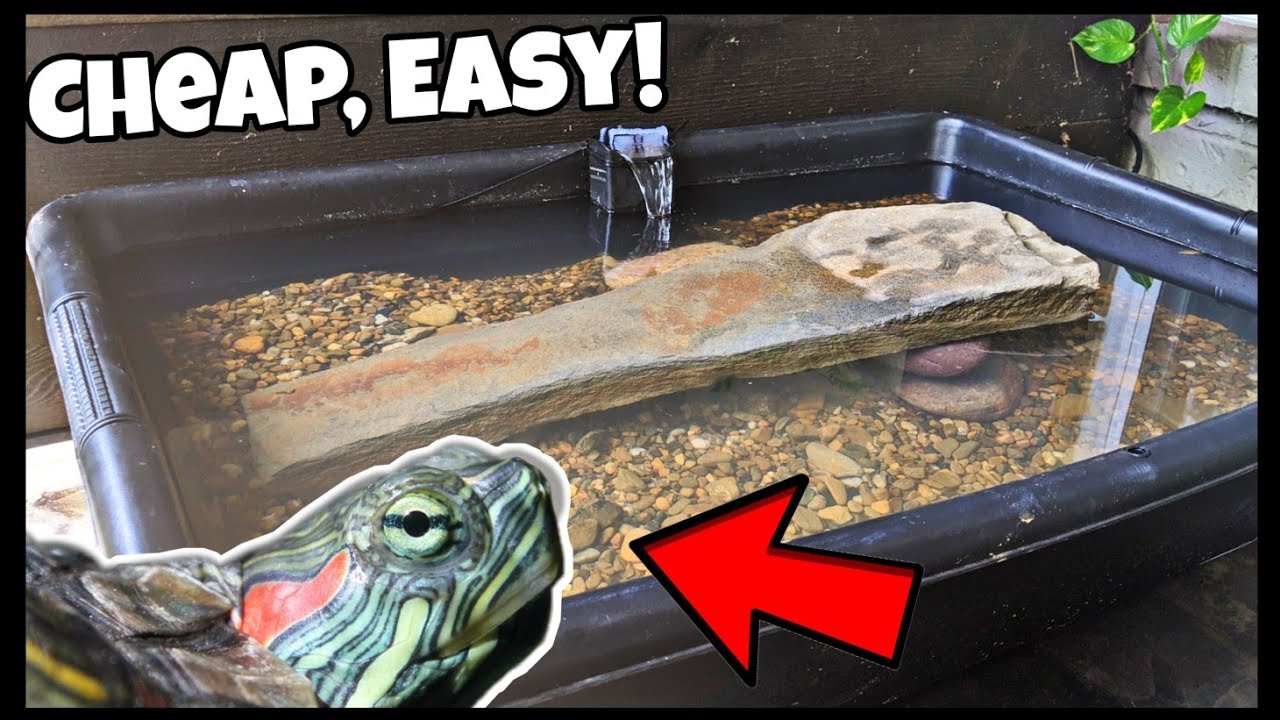 DIY Baby TURTLE POND Setup for LESS Than $40! (Baby Turtle Rescue)