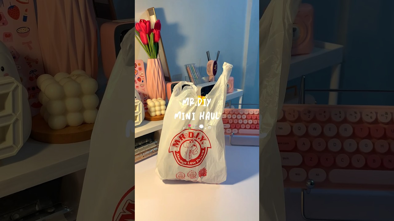 MR.DIY mini haul! 