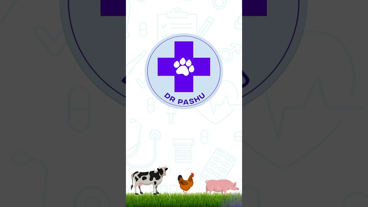 why should farmer use Dr Pashu app, किसान को डॉ पशु ऐप का उपयोग क्यों करना चाहिए #cattle #pashuhelp