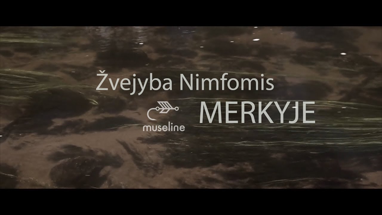 Žvejyba NIMFOMIS Merkio Upėje | ŽVEJYBA MUSELINE