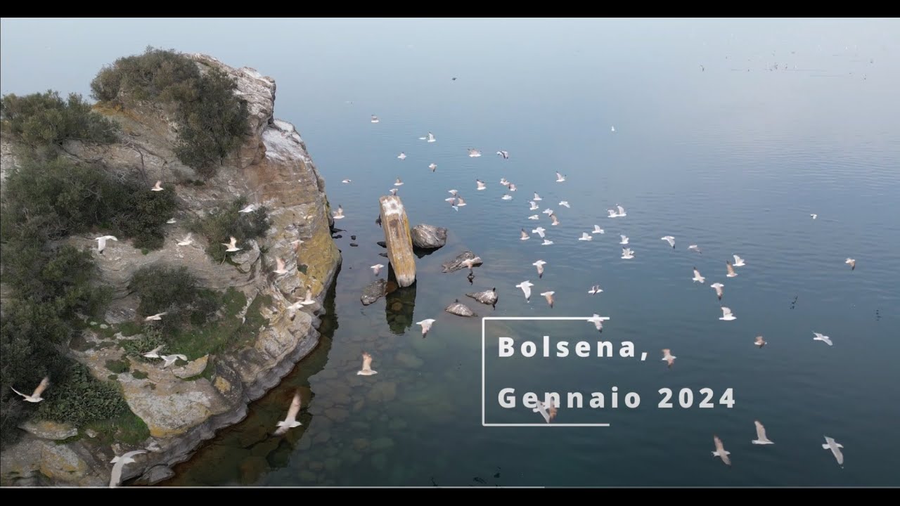 Carpfishing Bolsena Gennaio 2024