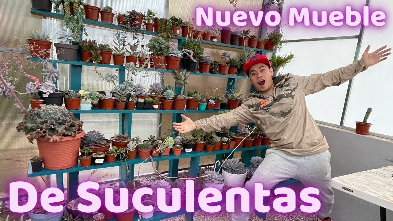 NUEVO MUEBLE PARA LAS SUCULENTAS QUEDO INCREIBLE || TU JARDINERO EL CITADINO