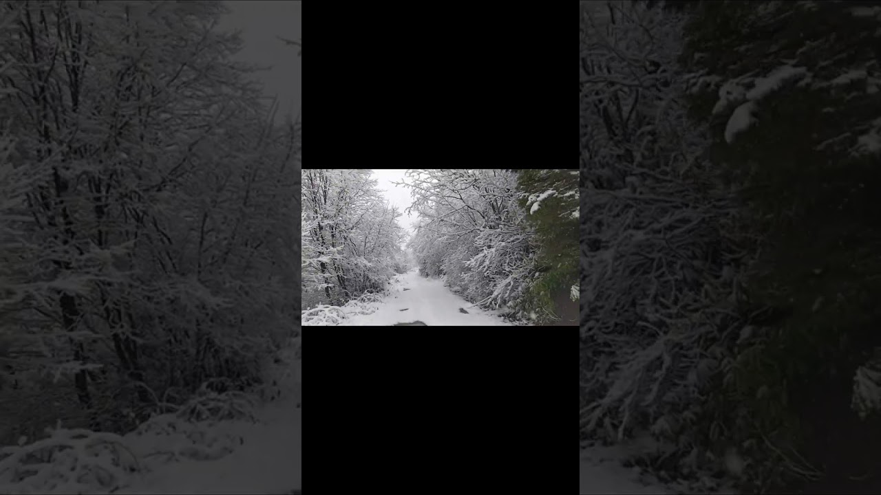 Belgesel Tradost Zeno Komları y&uuml;r&uuml;y&uuml;ş&uuml; (Tradost Zeno Komlar march) #travel #walk #winter #snow