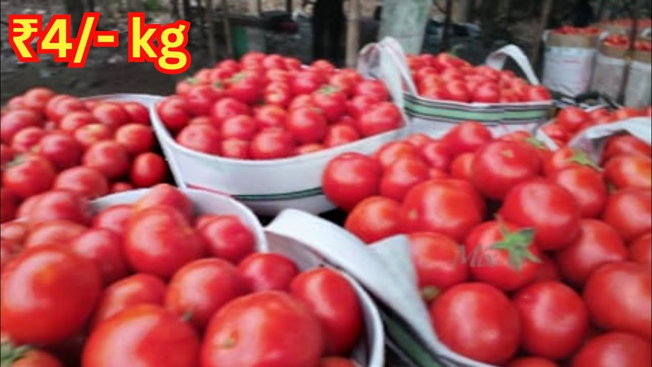 হাটে সবজি বিক্রি হচ্ছে একবারে জলের দামে । Wholesale Vegetable Market In Kolkata