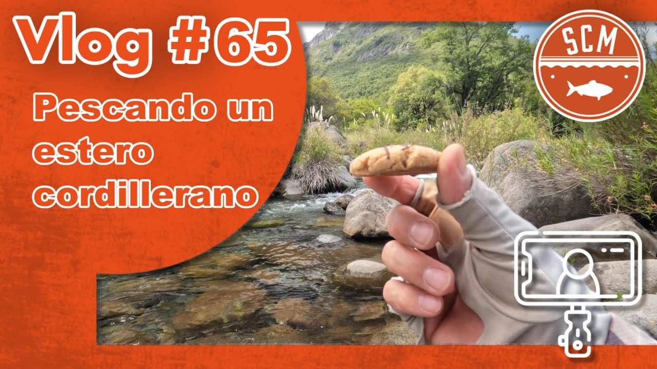 Pescando un estero cordillerano de Chillán: Vlog #65