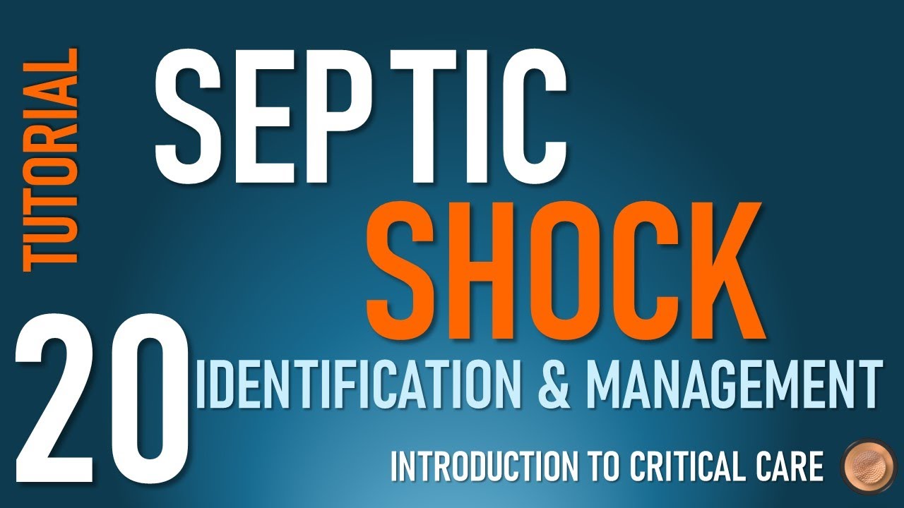 Diagnosis and Management of Septic Shock