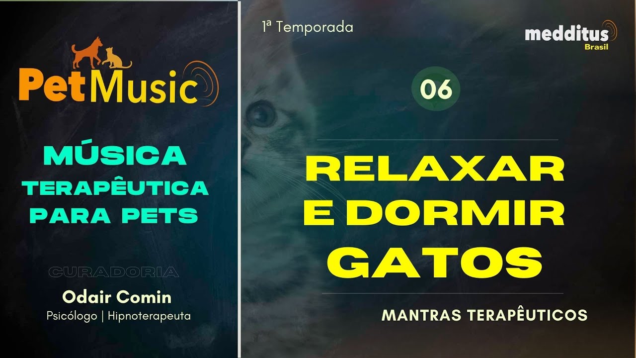 M&uacute;sica para seu Gato Relaxar e Dormir | Mantra Terap&ecirc;utico