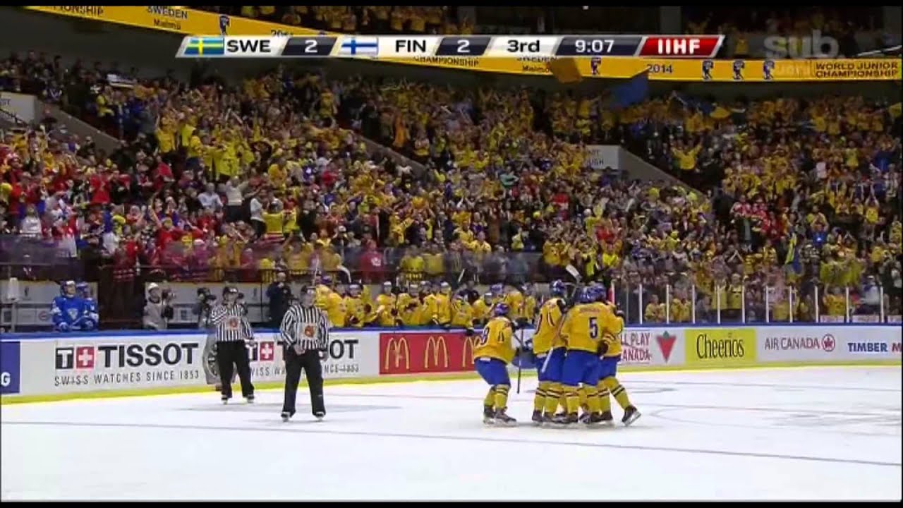 Nuoret LEIJONAT MM-kultaa 2014