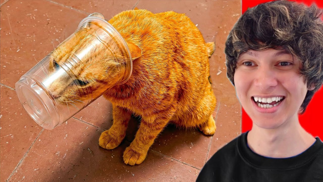 The World's Dumbest Animals!