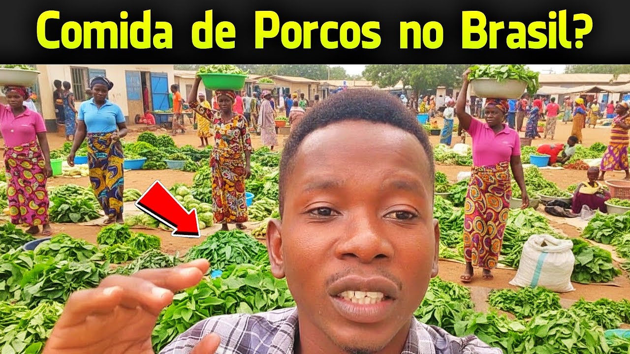Como assim essas folhas no Brasil é pra Porcos? Para nós isso é Luxo na África
