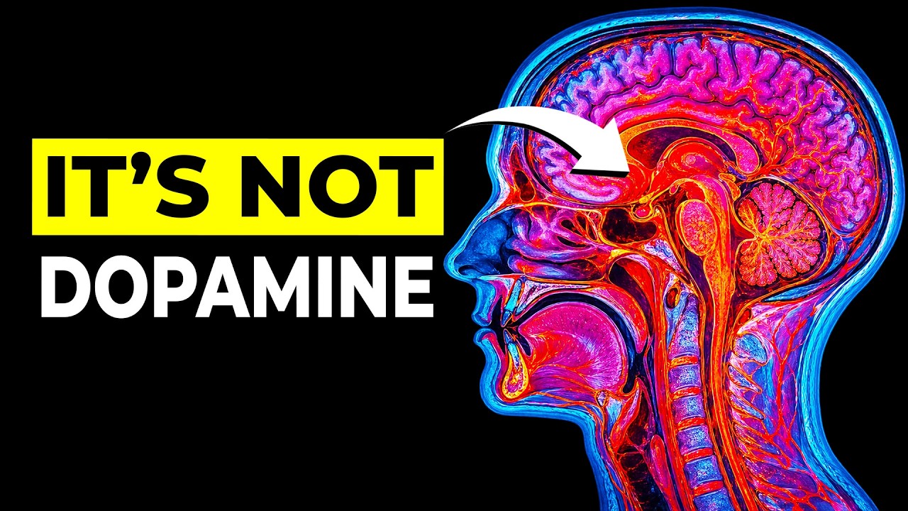 Niedob&oacute;r hormon&oacute;w jest przyczyną pogorszenia się ADHD