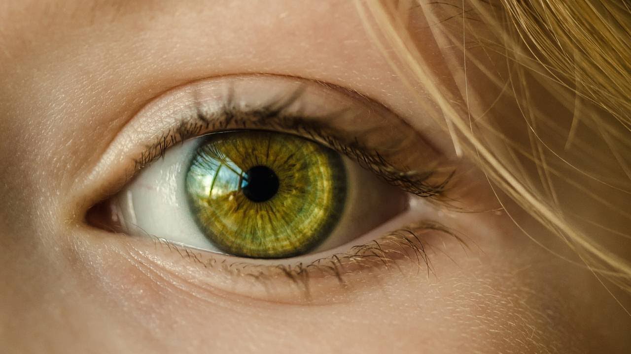 &lsquo;Sauna&rsquo; for your eyes: Help for people suffering dry eye