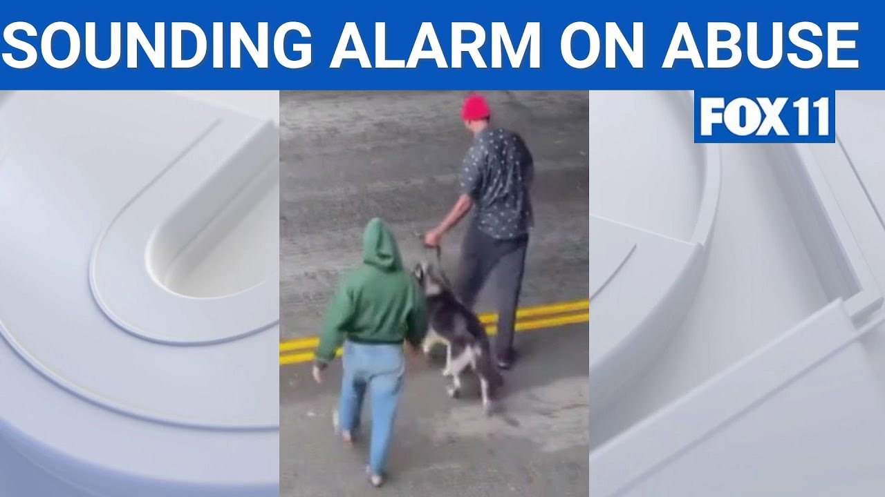 Rescuers save dog after police response questioned  | FOX 11 LA