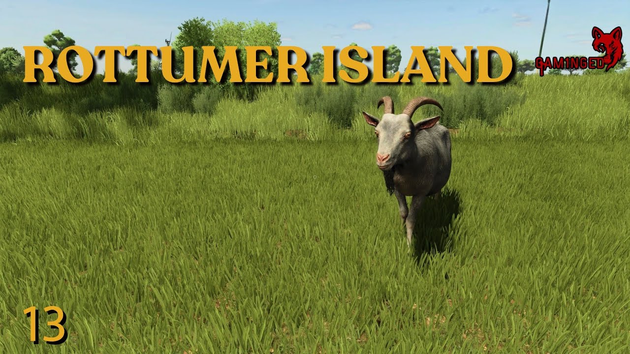 MELK PRODUCTIE UITBREIDEN MET GEITEN | ROTTUMER ISLAND #13 | FS25 | TIMELAPSE