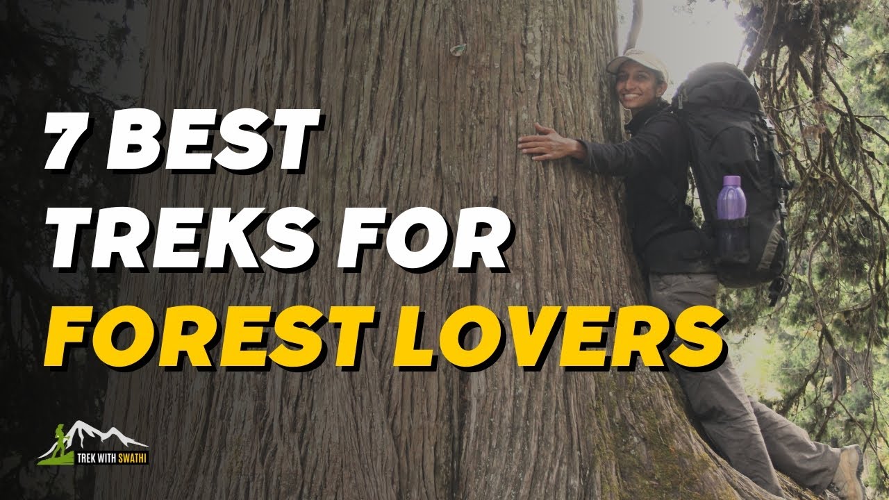 7 Best Forest Trails In India For Tree Lovers | Indiahikes