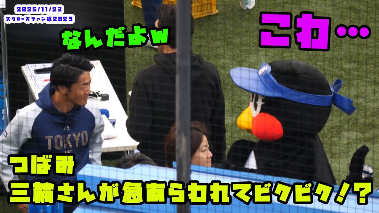 つばみ　三輪さんが急にあらわれてビクビク！？　2025/11/23 スワローズファン感謝DAY2022