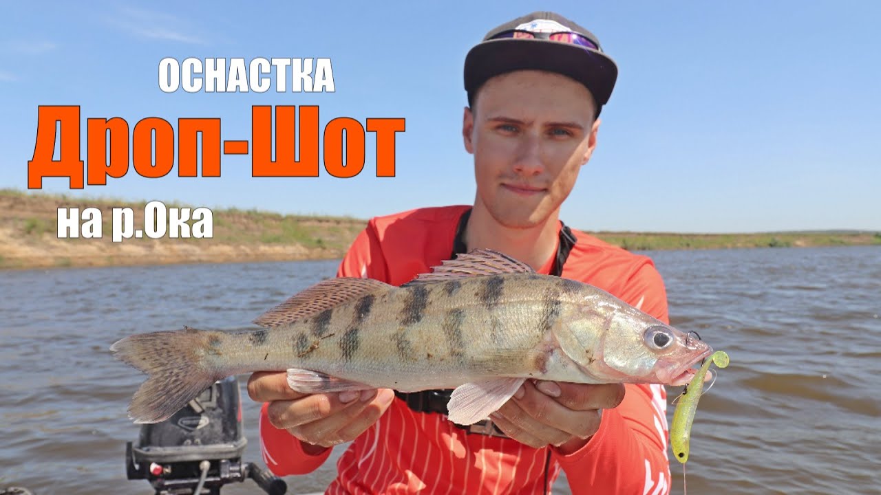 На что КЛЮЕТ в ЛЕТНЕЕ ПЕКЛО!!! Рыбалка с Оснасткой Дроп Шот! (Drop shot rig)