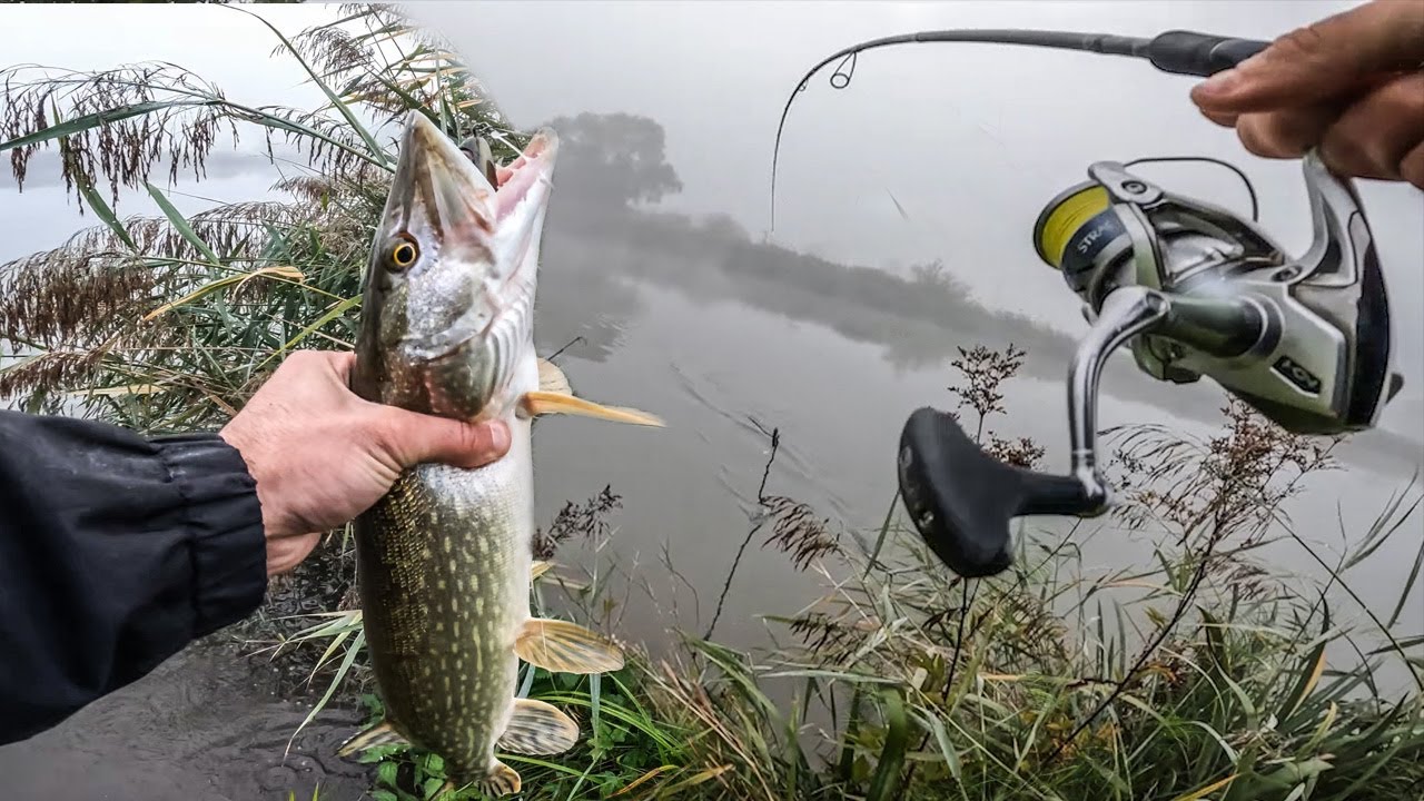 Hecht Angeln am kleinen Fluss