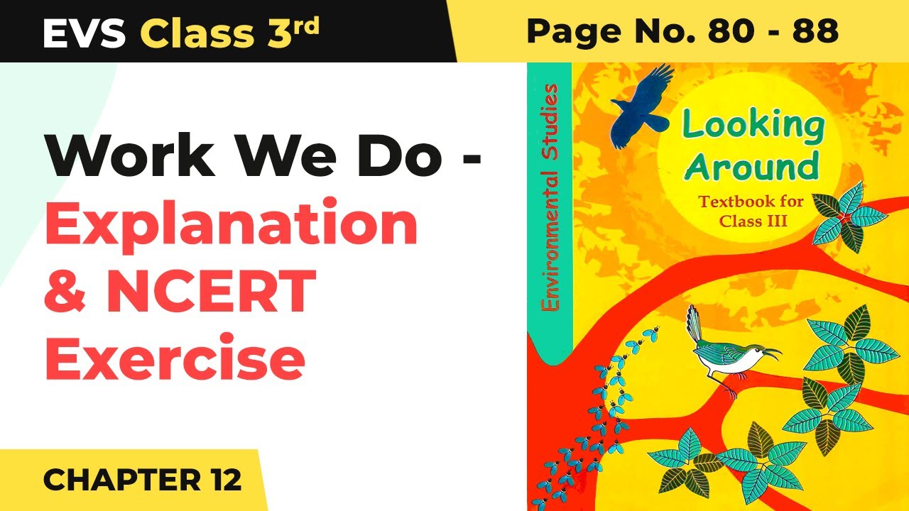 Class 3 EVS Chapter 12 | Work We Do - Explanation & NCERT Exercise (Pg No. 80-88)
