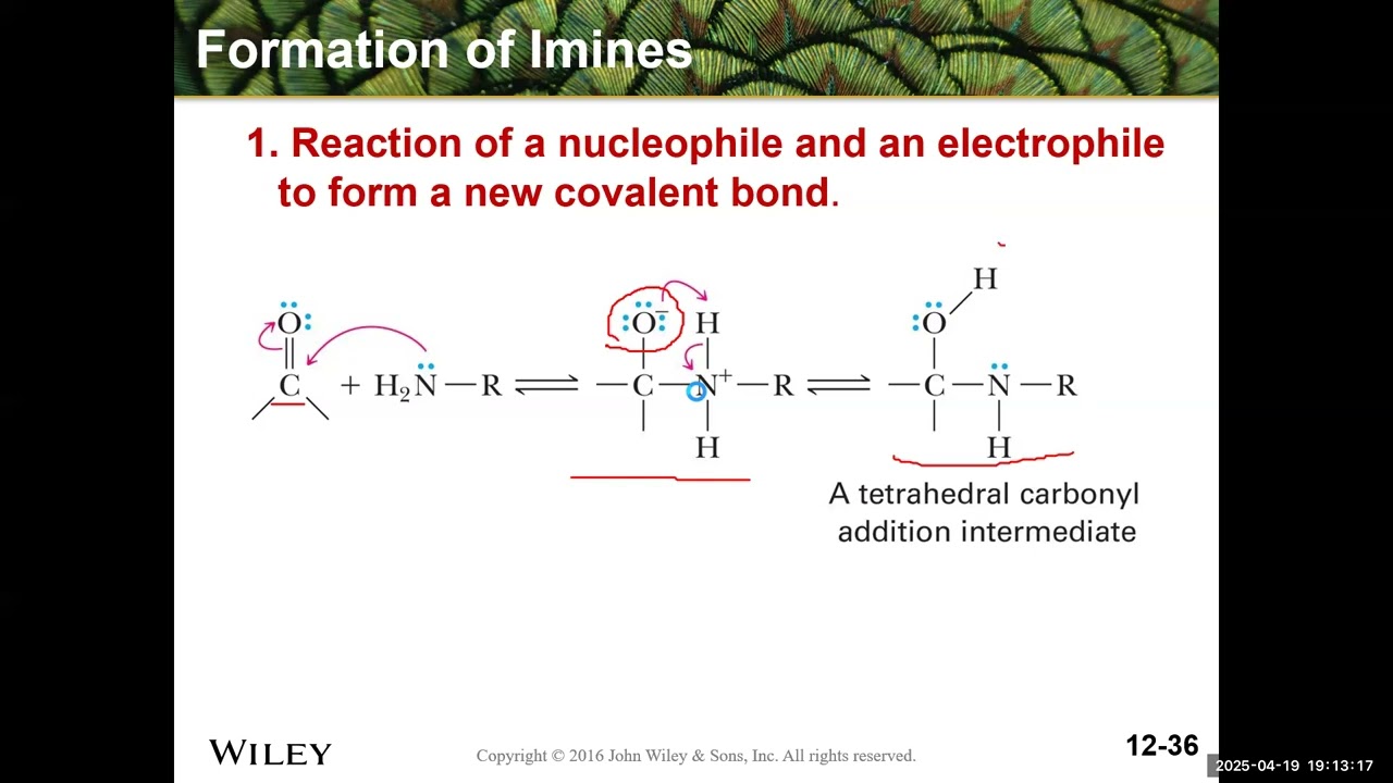 Reactions of Aldehydes and Ketones تفاعلات الالدهيدات والكيتونات