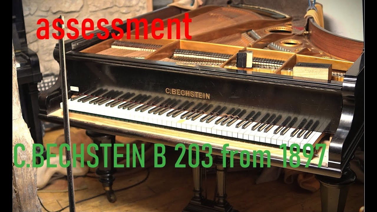 new project Bechstein restoration