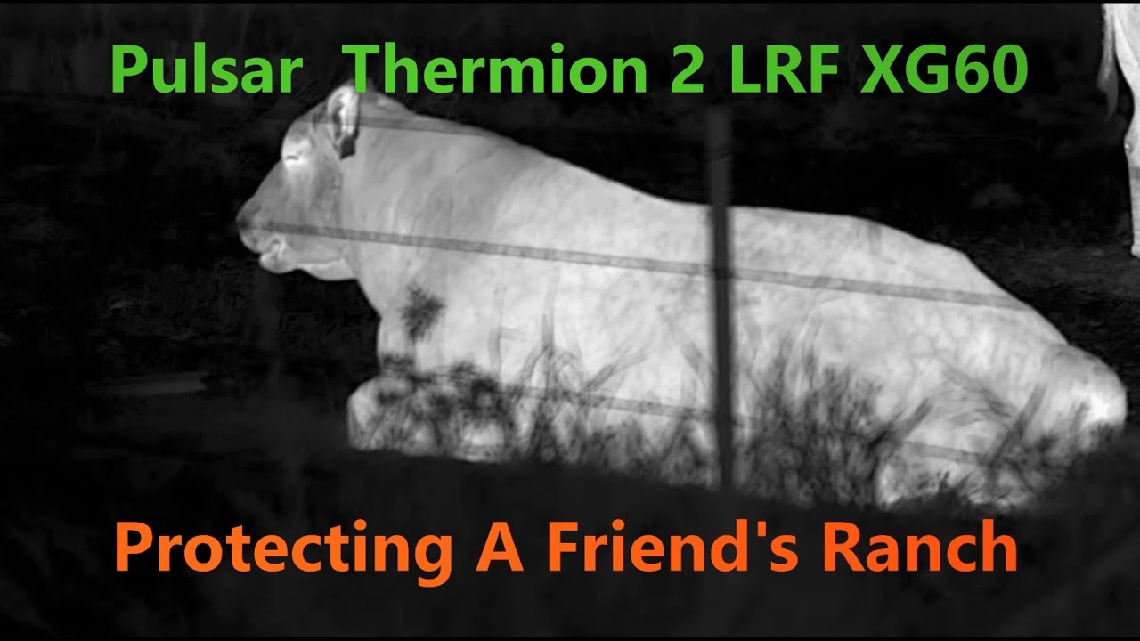 Pulsar Thermion 2 LRF XG60: Protecting A Friend's Ranch: KC Ep.195