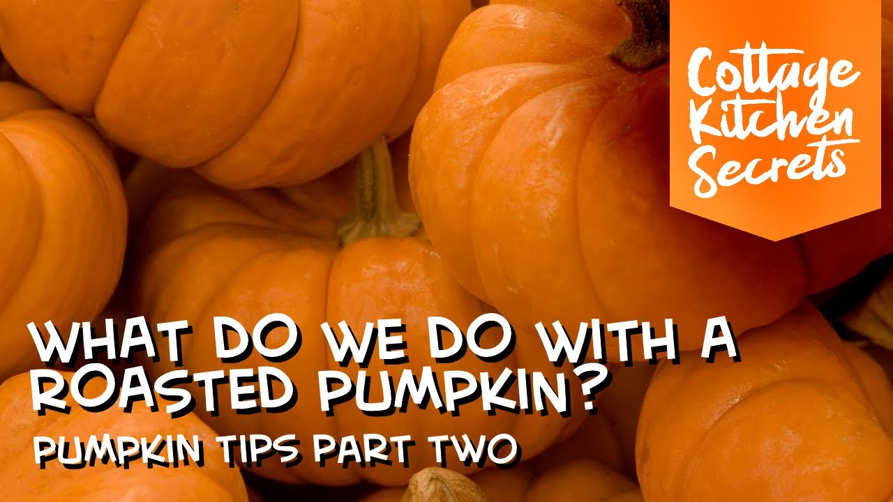 WHAT DO WE DO WITH A ROASTED PUMPKIN? PUMPKIN TIPS PART 2