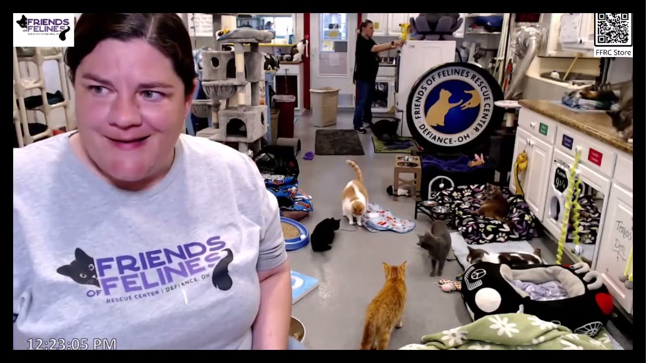 Kitten Updates 04-20-2025  Friends of Felines Rescue Center (FFRC)