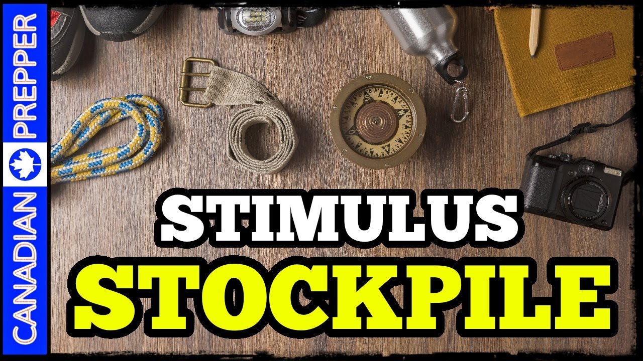 10 Preps to STOCKPILE with Your STIMULUS Check