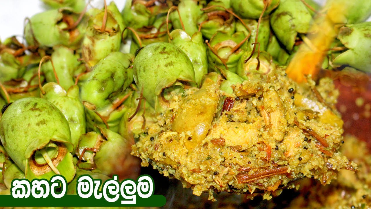 කහට මැල්ලුමක් රසට හදමු | Kahata Malluma