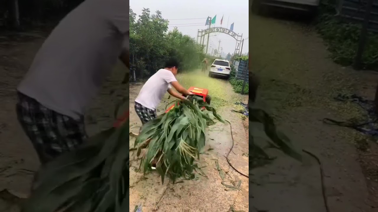 Corn maize straw chopper chaff cutter