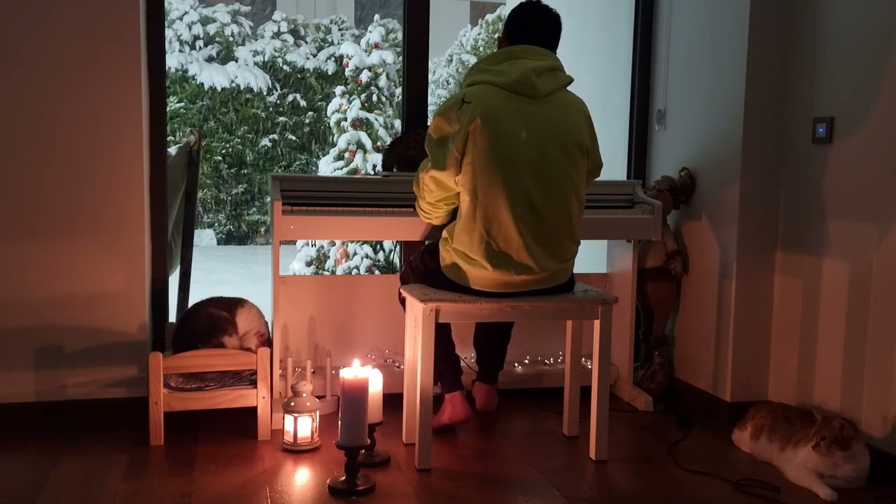 Snow, cats, piano.. 🌨🐈‍⬛🐈