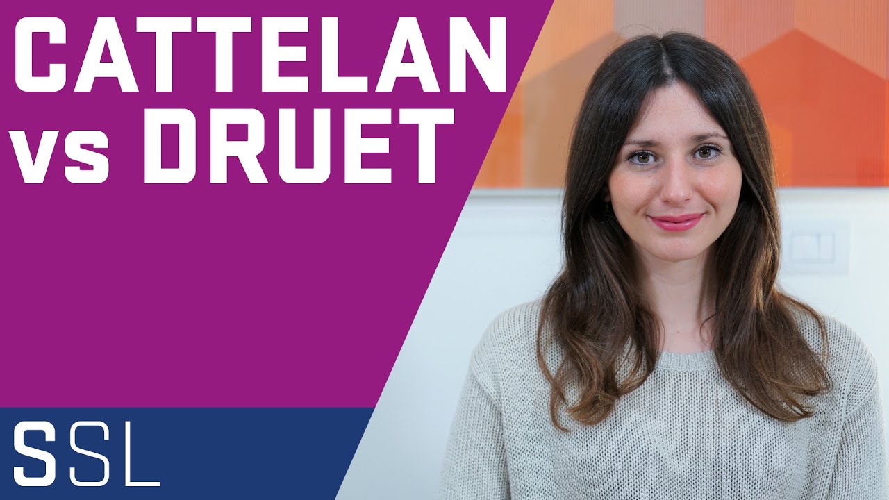 ARTE CONTEMPORANEA E DIRITTO D'AUTORE | LA PATERNITÀ DELL'OPERA D'ARTE | CASO CATTELAN CONTRO DRUET