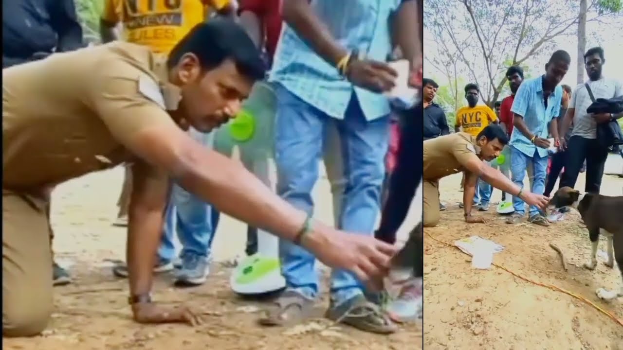 laththi moving shooting spot | Vishal | movie making | dog lover |#laththi #laththiteaser
