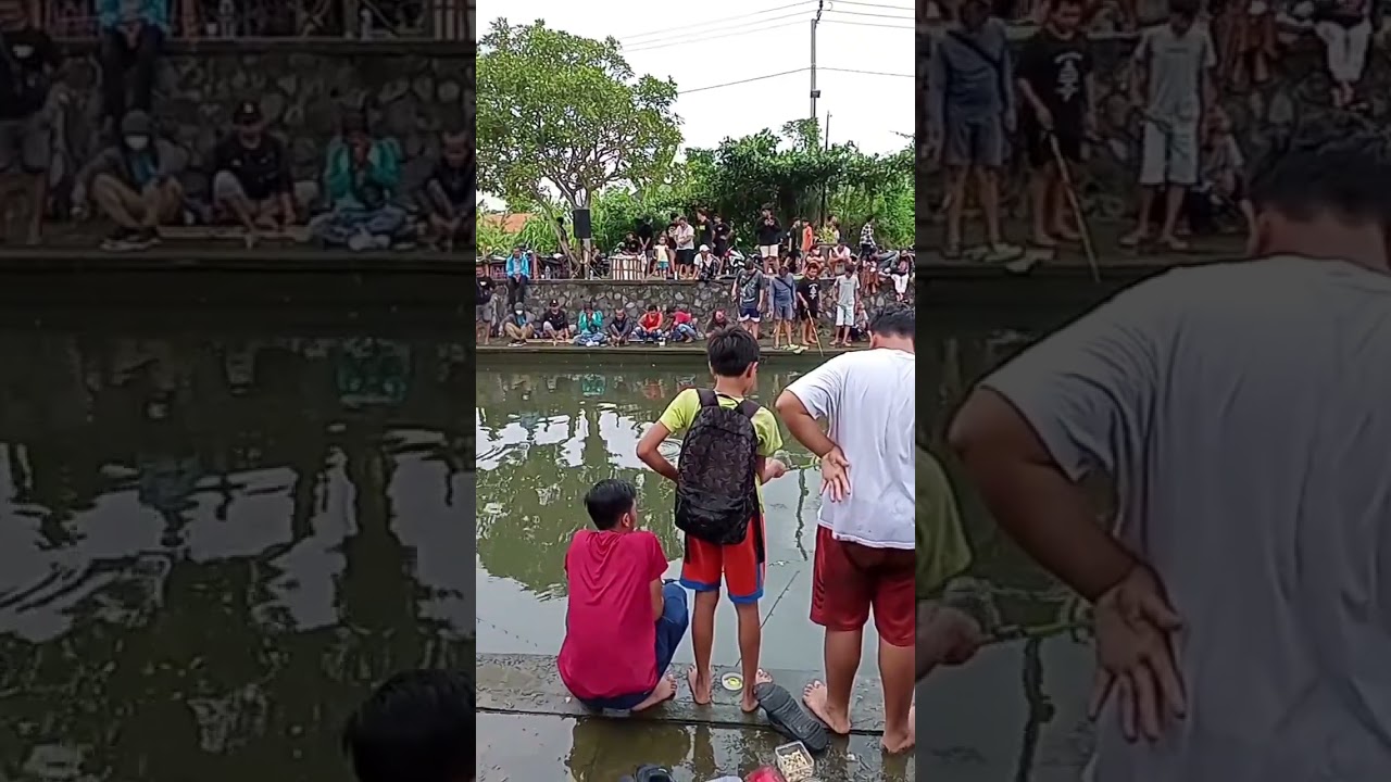 Lomba mancing lele di sanur 