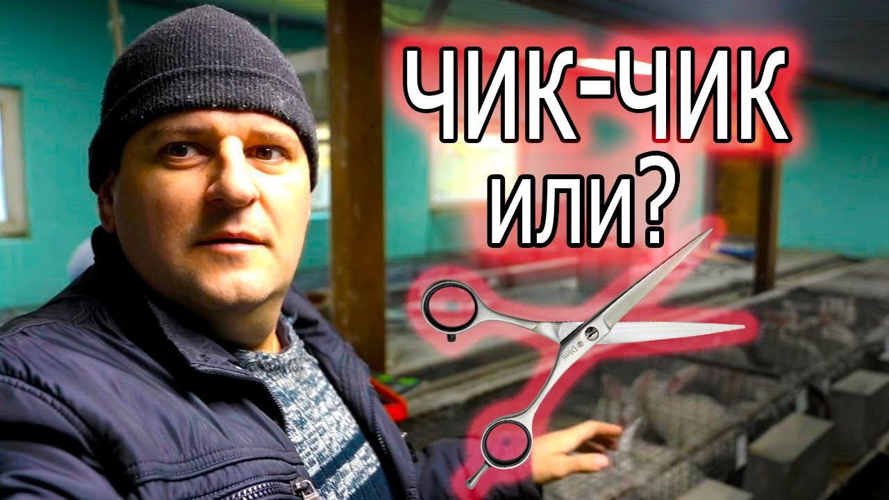 КАСТРАЦИЯ, САМКА НЕ КОРМИТ, РЕМОНТ!