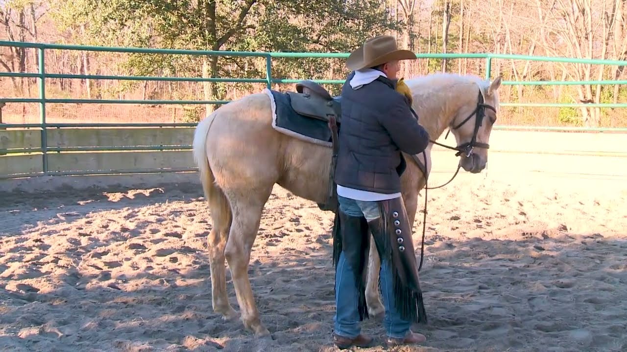 Colt Starting Series - Training Each Side of the Brain