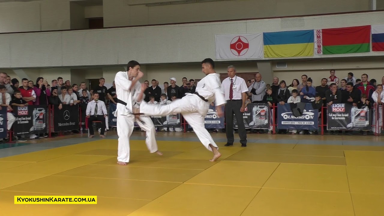 Moldova Open 2017 / -80 Zhydko Sergei (Ukraine, aka) - Dita Stefan Kaito (Romania)