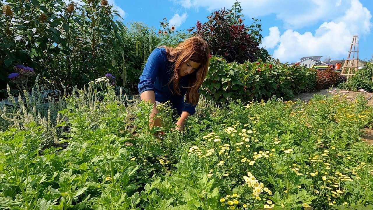 Seeding Grass, Cut Flower Arrangements & Strawberry Biscuits! 🌾🌸🍓  // Garden Answer