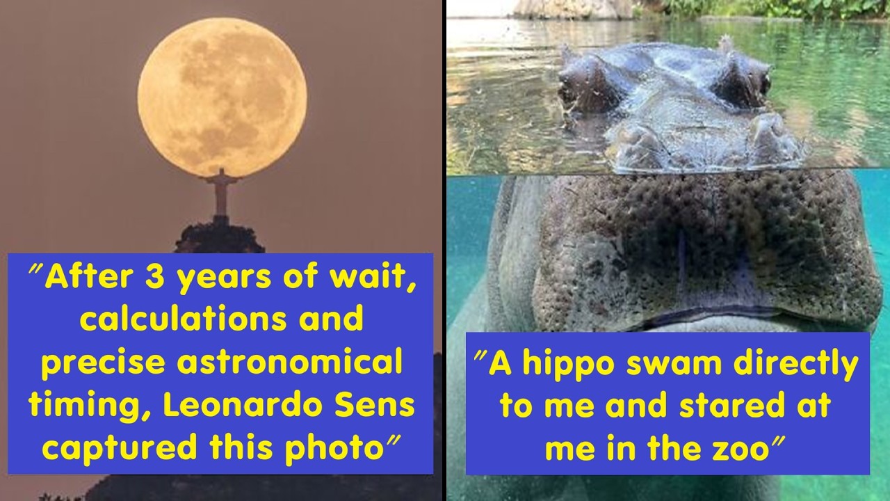 🤯 Reality Isn’t Boring: Incredible Photos That Prove It