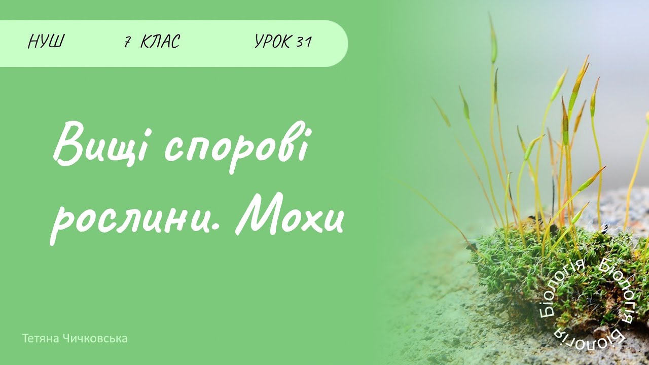 Вищі спорові рослини. Мохи