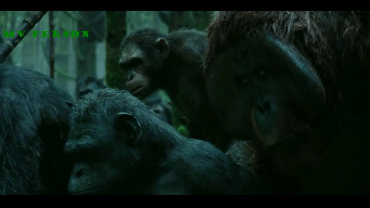 Rise/Dawn of the planet of the apes - The night