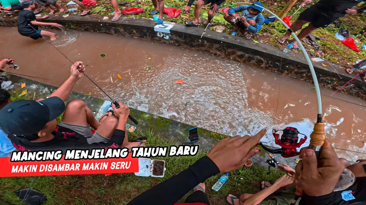 MAKIN SERU! Joranku Bergetar Ikut Lomba Mancing Lele Sungai Spesial Bulan Desember 2025