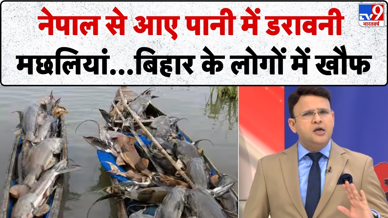 Bihar Water Monster Fish News: नेपाल से आए पानी में दिखीं खौफनाक मछलियां!
