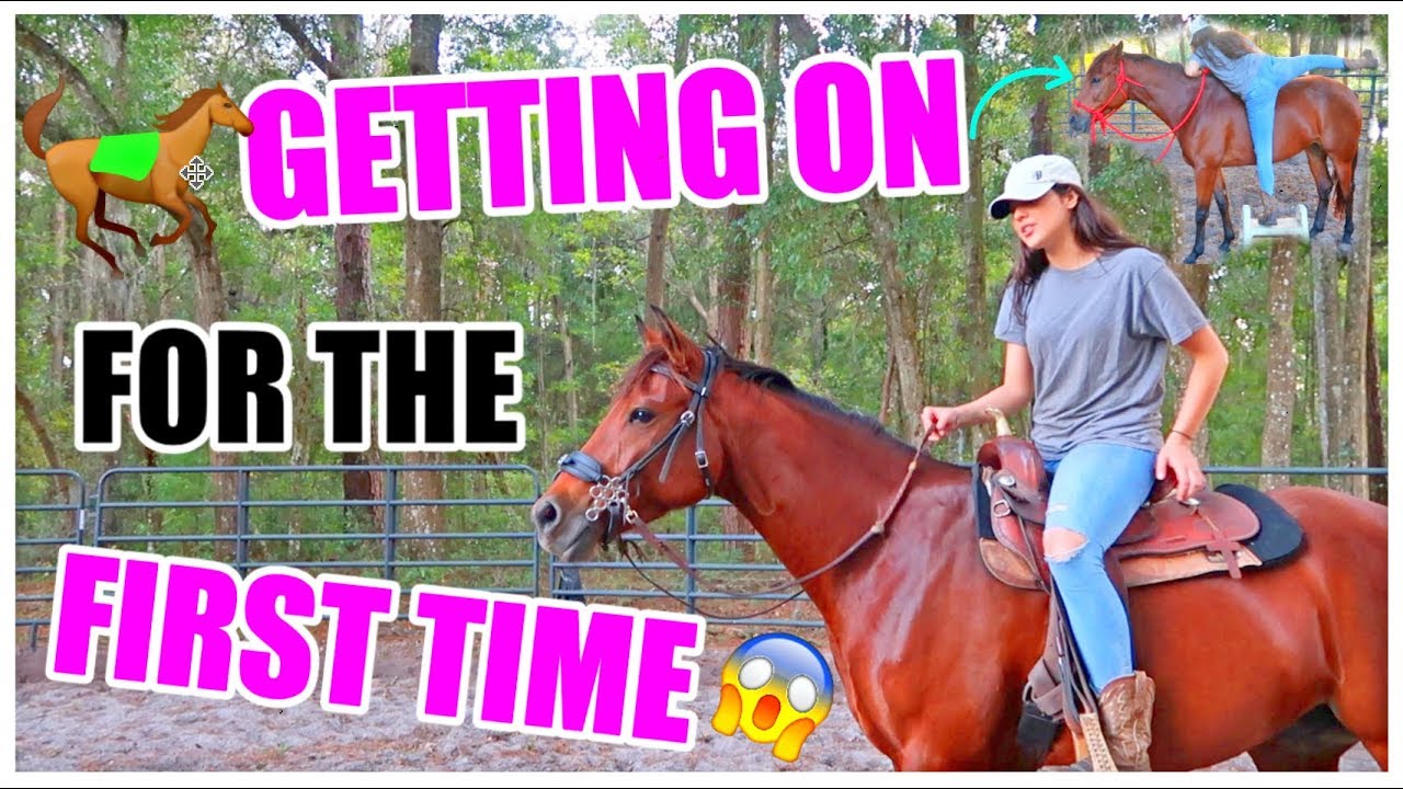 Getting On My Horse For The First Time! | Starting Brandy Pt.7