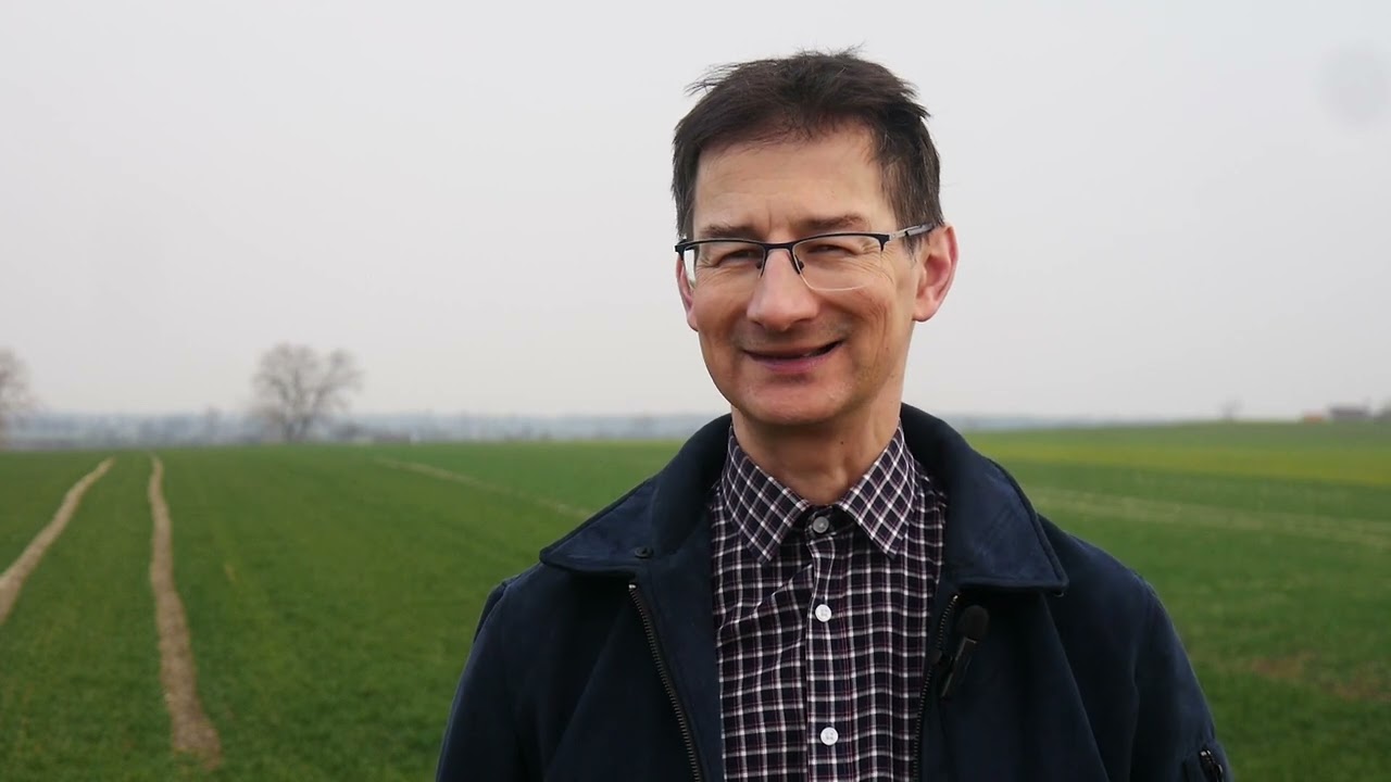 Sucho na polach. Co robią rolnicy i co zalecają specjaliści?