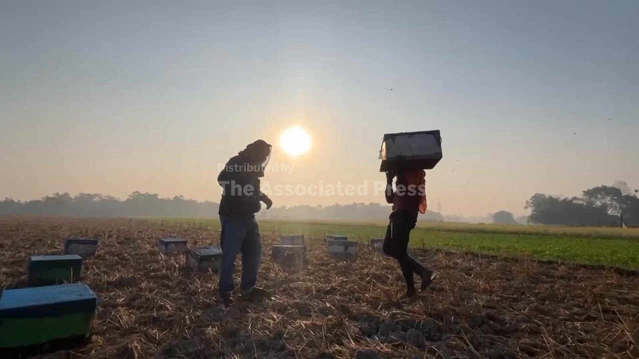 For beekeepers who bring hives to Assam, climate change threatens a new source of income
